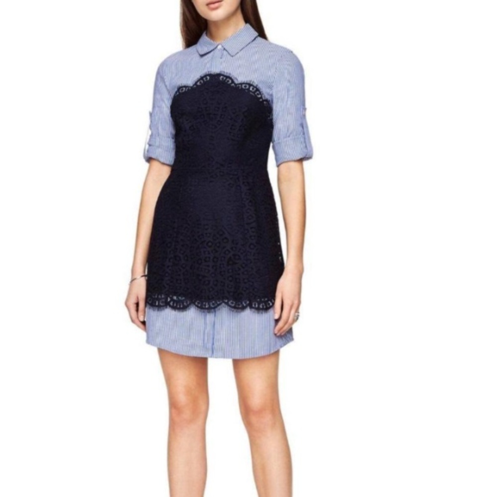 BCBG Maxazria Kaylin Blue striped Lace Dress